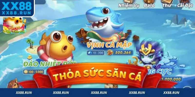 Trải nghiệm săn cá phong phú