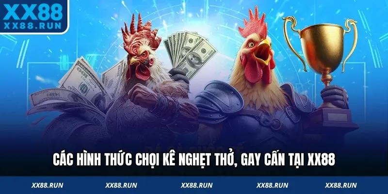Các hình thức chọi kê nghẹt thở, gay cấn
