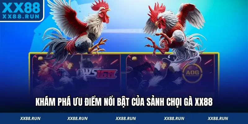 Ưu điểm nổi bật của sảnh đá gà XX88