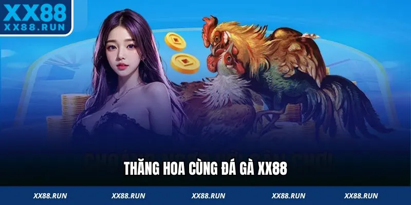 Thăng hoa cùng đá gà XX88