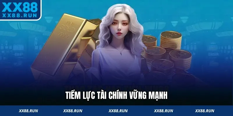 Tiềm lực tài chính vững mạnh