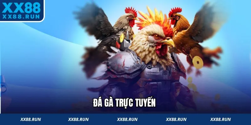 Đá gà trực tuyến Jun88