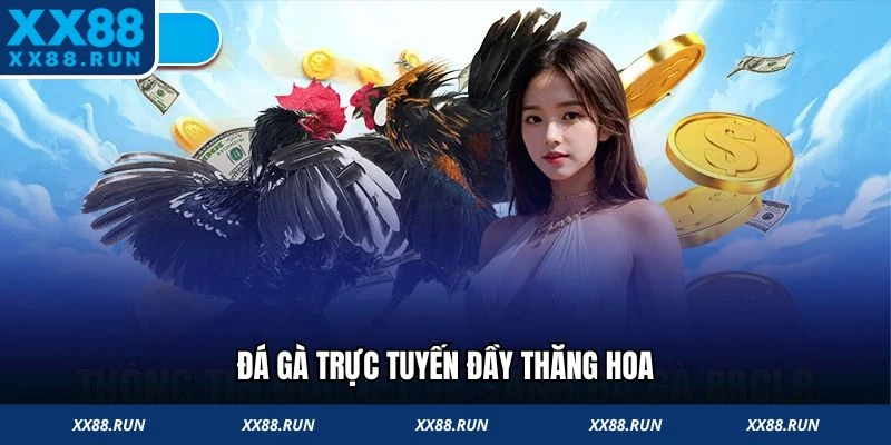 Đá gà trực tuyến đầy thăng hoa